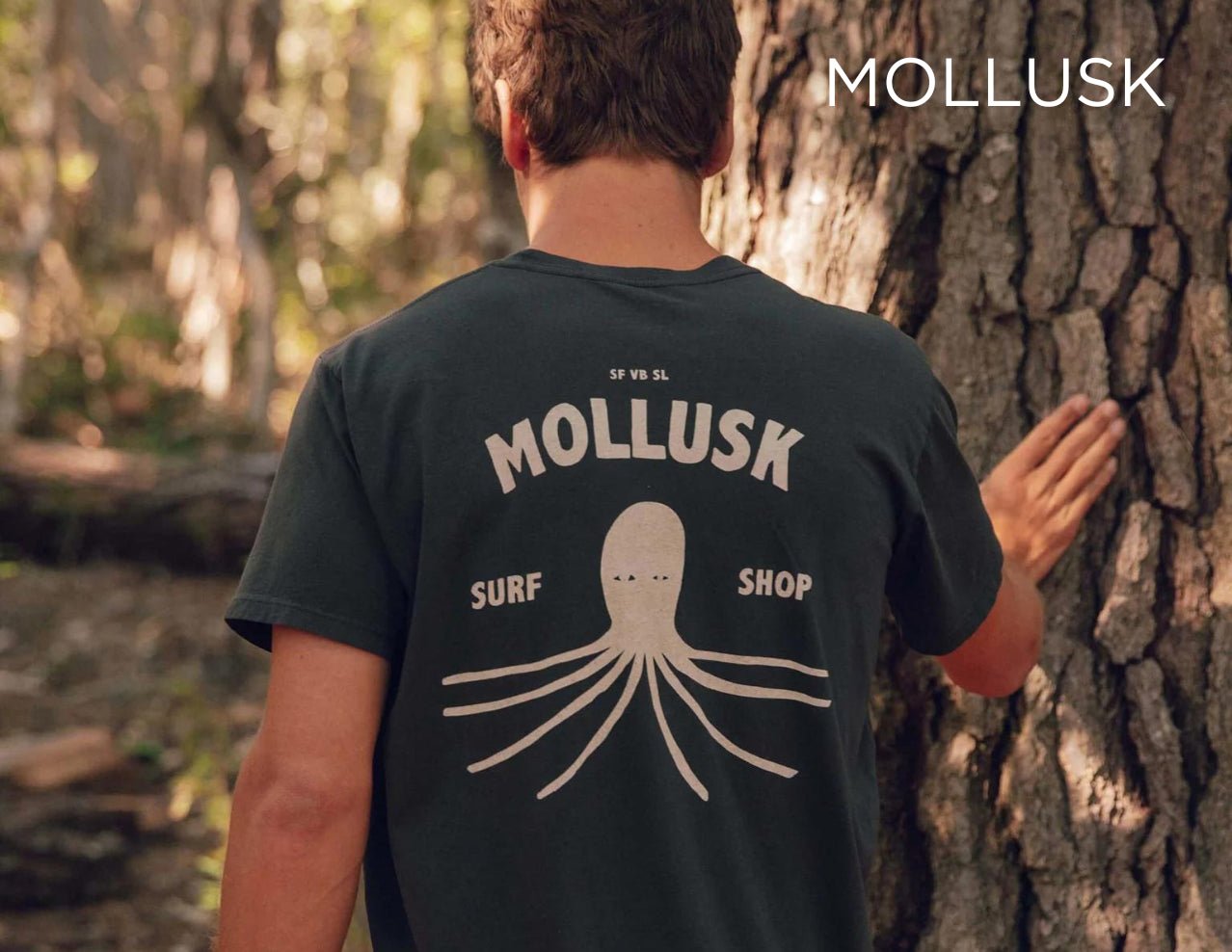 Mollusk